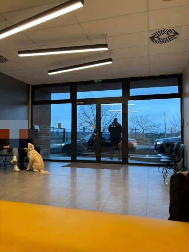 Prezidenta čakala pred budovou ochranka. 